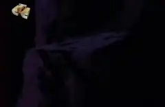 Скуби и Скрэппи 2 сезон 31 серия